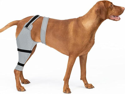 Dog Rear Leg Sleeve to Stop Licking, Hind Leg Protector After TPLO Recovery, ACL Surgery, Wounds or Skin Issues, Soft Breathable Comfortable Cover for Large Medium Small Dogs, XS,Right, Black-Gray