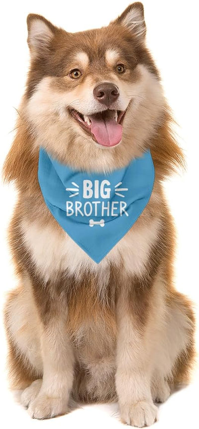 Big Brother Dog Bandana, Blue Pet Dog Scarf Accessories, Pregnancy Announcement Big Brother Baby Reveal, Pet Dogs Triangle Scarf, Dogs Bandana for Small Medium