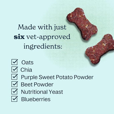 Bake-at-Home Dog Treat Kit Purple Pup Flavor