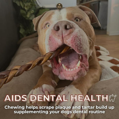 Bully Bunches Premium (6" Collagen - 5 Pack) Beef Chews for Dogs – All-Natural, Long-Lasting Dental Treats, Protein-Rich, Grain-Free, Healthy Digestive Support for Dogs
