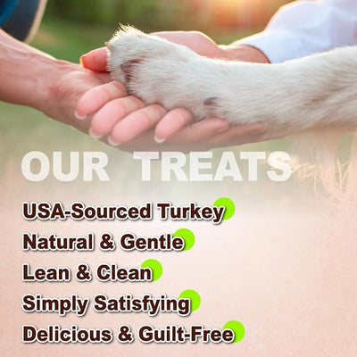 A Freschi srl Turkey Tendons for Dogs, USA-Sourced, Healthy Dog Treats, Rawhide-Free Puppy Chews, All Natural, Hypoallergenic Dog Treats, Thin Sticks, 3.5 oz Pack
