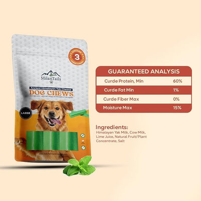 Premium Natural Fruit-Flavored Himalayan Yak Chew for Dogs - 300g, All-Natural, Long-Lasting, Authentic Yak Milk, Healthy Dental Chew (Large, Mint)