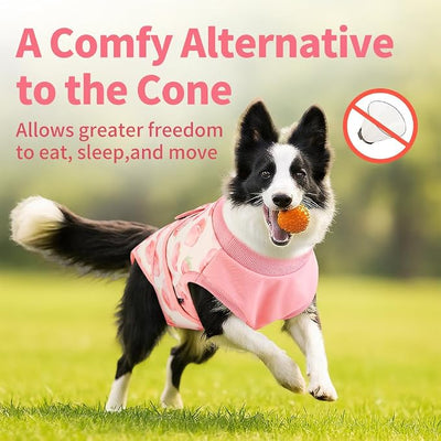 Soft Recovery Suit for Female/Male Dog Cat After Spay/Neuter Surgery, Bandana Set Included, E-Collar Cone Alternative Anti Licking Abdominal Wounds, Small Dogs Full Body Onesie, Pet Onesies Bodysuit