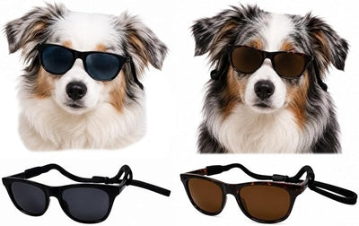 G006 Dog Pet Retro 80s Costume Sunglasses for Small Breed (2-Pack Black+Tortoise Brown)