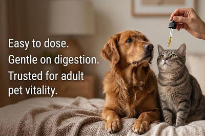 Calm USDA Certified Organic Pet Hemp Oil, 600mg Formula for Dogs & Cats, Premium Daily Wellness Support, 30ml Bottle (Presicion Dropper Included)