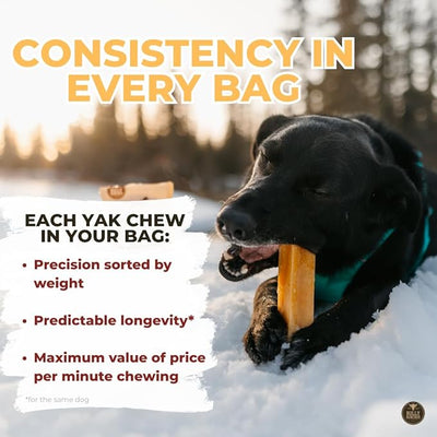 Bully Bunches Mega Authentic Yak Cheese Himalayan Chews for Giant Dogs & Super Aggressive Chewers - All Natural Dog Treat Dental Chews, Made with Real Yak Milk - Lactose & Rawhide Free (4 PK)