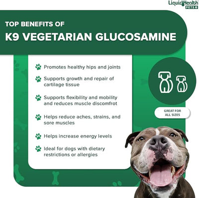 LIQUIDHEALTH Pets K9 Vegetarian Liquid Glucosamine Juice for All Dogs Canines with Chondroitin, MSM, Omega 3, Antioxidants, Hyaluronic Acid - Dog Vitamin Oil for Hip & Joint Health - USA Made (2 Pack)