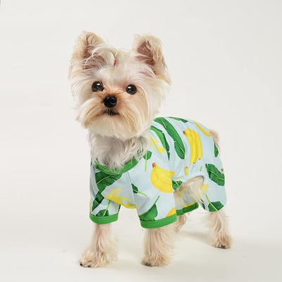 Dog Pajamas Pjs Soft Stretchy Dog Clothes for Small Dogs Girl Boy Medium Size Dogs Spring Summer Puppy Clothes Doggie Onesies Cat Pet Jammies Outfit