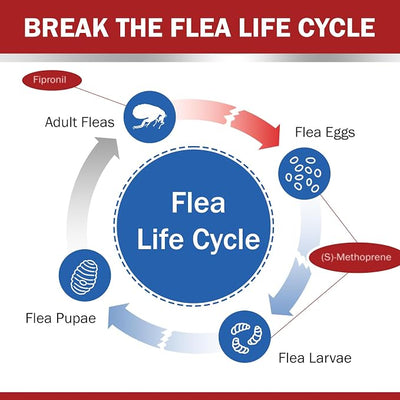 Flea and Tick Prevention for Large Dogs, Flea Drops for Dogs 45 to 88 lbs, 6 Month Support for Skin & Coat Health, Fast Acting, Dog Flea and Tick Treatment, Supplement