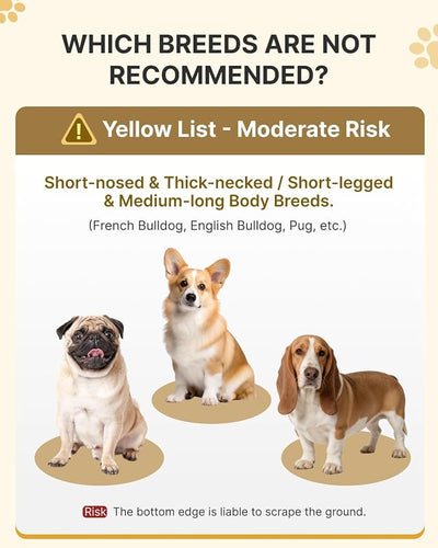 MIDOG Soft Inflatable Dog Cone - Comfortable Alternative After Surgery that Doesn't Block Vision, Patented Donut Recovery Collar Prevents Licking for Large & Medium Dogs (M)
