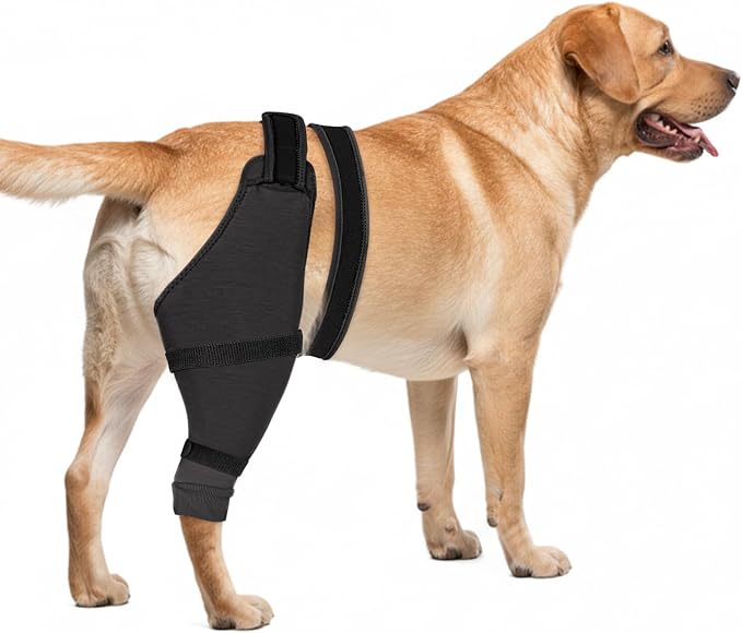 Dog Rear Leg Sleeve to Stop Licking, Hind Leg Protector After TPLO Recovery, ACL Surgery, Wounds or Skin Issues, Soft Breathable Comfortable Cover for Large Medium Small Dogs, 2XL,Right, Black-Gray