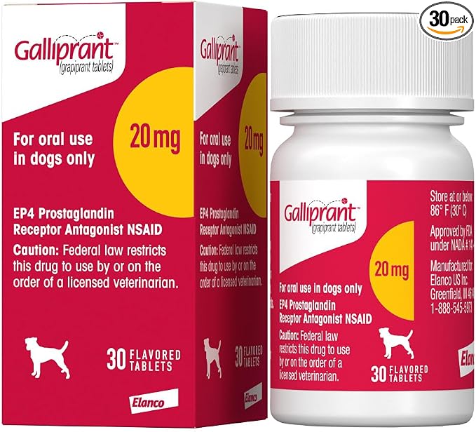 Galliprant Osteoarthritis Pain & Inflammation Control for Dogs | 20mg | 30 Flavored Tablets