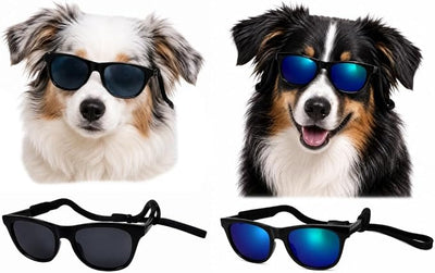 G006 Dog Pet Retro 80s Costume Sunglasses for Small Breed (2-Pack Black+ Black-Emerald Green Mirror)