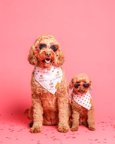 Remy+Roo Dog Bandanas - 2 Pack | Valentine's Day XOX Dog Bandanas Set | Premium Durable Fabric | Patented Shape Bandanas for Dogs (XOXO, Small)