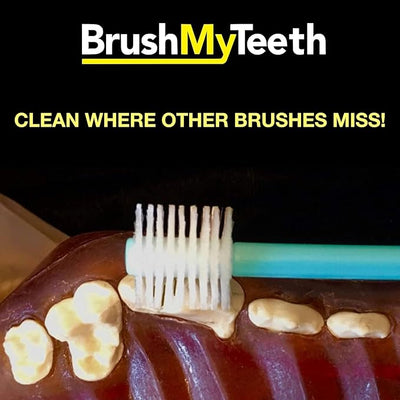 Brush My Teeth Big Dog Toothbrush, Rounded Brush Head with Soft Flexible Bristles for Safe and Gentle Brushing for Dogs, Any Large Breed or Puppy, Daily Brushing Adds Years of Healthy Life