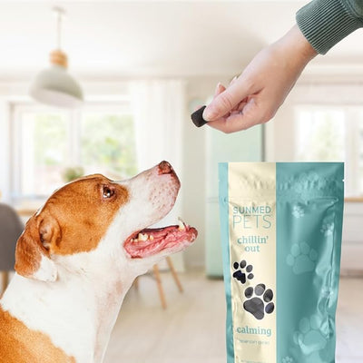 Hemp Calming Chews for Dogs By Sunmed | Relaxation & Anxiety Relief Dog Calming Treats | Stress Relief Dog Products for Small and Large Pups | Pet Travel Essentials - 40 Count