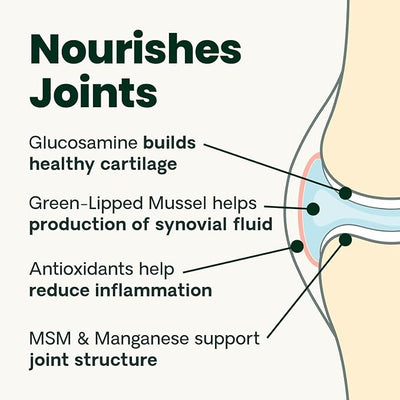 VetriScience Glycoflex 3 Clinically Proven Hip and Joint Supplement for Dogs - Maximum Strength Dog Supplement with Glucosamine, MSM, Green Lipped Mussel & DMG - 120 Count - 2 Pack