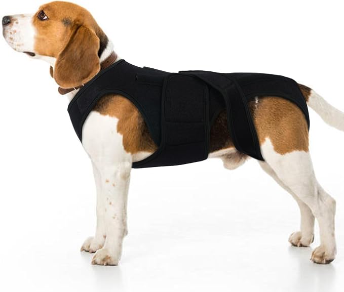 Adjustable Back Support for Medium Dogs - Joint Support Brace with 5 Plastic Rib Support System & Soft Airflow Fabric, Ideal for Post-Op or Daily Back Support, Black M