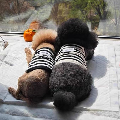 2 Pack Cotton Dog Clothes for Small Dog Girl Boy Striped Sleeveless Pet Tank Top Vest Breathable Puppy Shirt with Leash Ring Cute Cat Outfit for Tea Cup Poodle (Black Apricot, Medium)