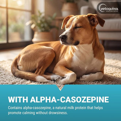 Vetoquinol Zylkene - Calming Oral Support for Medium Dogs & Large Cats - Supports Behavior & Occasional Anxiety - for Boarding, Vet Visits & Celebrations - Non-Drowsy & Lactose-Free - 14 Capsules