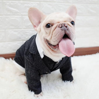 Dog Clothes Pet Plaid Suit Dog Tuxedo Costumes, Formal Gentleman Apparel Vest, Wedding Party Birthday Wear French Bulldog Pug Teddy Terrier Pup(Black Coat, XXL)
