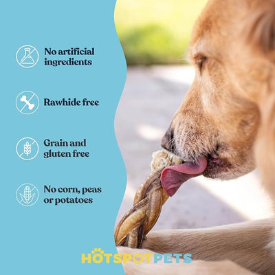 Braided Bully Sticks for Dogs - 6 Inch (5 Pack) - Rawhide Free | All Natural Long Lasting, Low Odor, Twisted Beef Pizzle Dog Chew Treats - Grain Free Fully Digestible