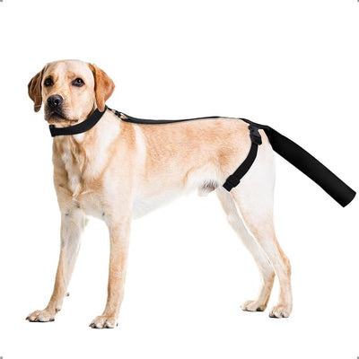 Ohcozzy Dog Tail Protector, Dog Harness with Tail Guard Ends Protector Sleeve, Dog Tail Bandage Cover for Comfortable Wound Injury Recovery,M