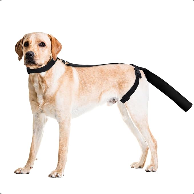Ohcozzy Dog Tail Protector, Dog Harness with Tail Guard Ends Protector Sleeve, Dog Tail Bandage Cover for Comfortable Wound Injury Recovery,L