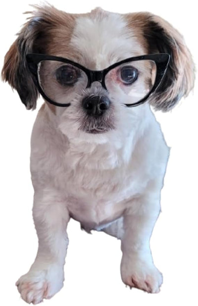 G002 Dog Pet Clear Lens Costume Glasses Small to Medium Breeds 12LBS~30LBS Prop Photoshoot Sunglasses (Cateye Black-Clear)