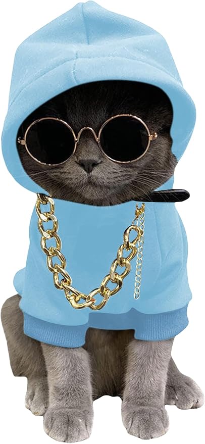 QWINEE 3Pcs Dog Hoodie Cat Apparel Dog Custume Set with Necklace and Sunglasses Pet Clothes for Puppy Small Medium Dogs Cats Light Blue XX-Small