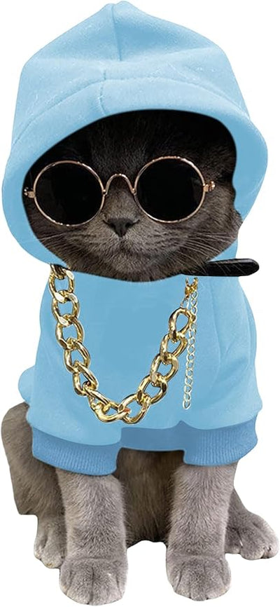 QWINEE 3Pcs Dog Hoodie Cat Apparel Dog Custume Set with Necklace and Sunglasses Pet Clothes for Puppy Small Medium Dogs Cats Light Blue XX-Small