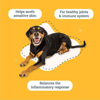 Alice & Eli Happy Skin - Seasonal Allergy Support with Quercetin & Bovine Colostrum - for Dogs with Sensitive Skin or Environmental Allergies
