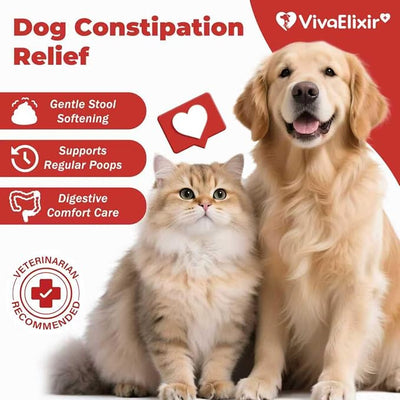 Constipation Relief for Dogs and Cats - Gentle Laxative and Stool Softener with Psyllium - Supports Healthy Bowel Movements, Hairball Relief, and Digestive Comfort - 2 fl oz (60 ml)