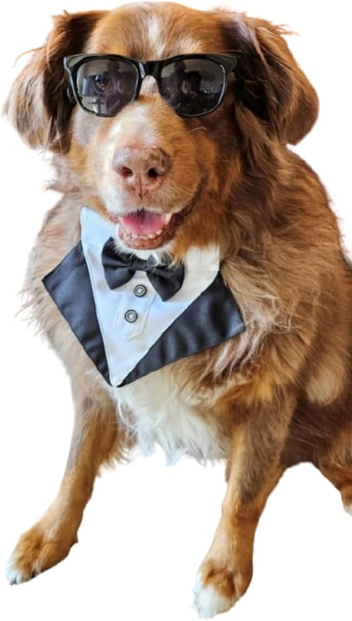 G006 Dog Pet Retro 80s Costume Sunglasses for Small Breed (Black 80s + Black Tuxedo)