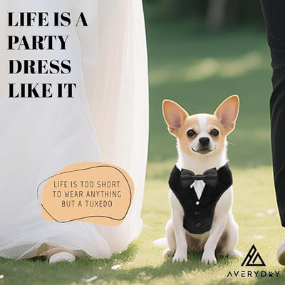 AVERYDAY XS Pet Tuxedo Harness, Wedding Costume Outfit for Small Dogs, Slim Cats and Tiny Pets with 9.1" Neck, 14.2-18.9" Chest, 9" Max Head Girth, Formal Suit Costume for Mini Breeds