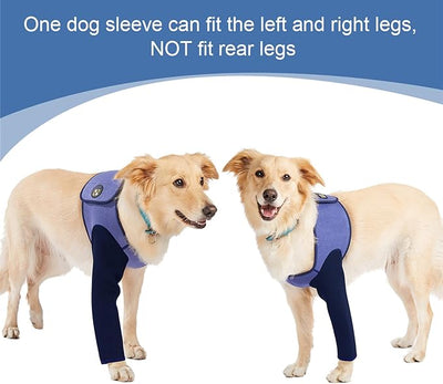 Coodeo Dog Recovery Suit, Cone Collar Alternative, Abrasion Resistant Dog Recovery Sleeve, Washable 2.5mm Thick and Waterproof, Pet Wounds Prevent Licking, Bite, Keep Dry（Purple，M