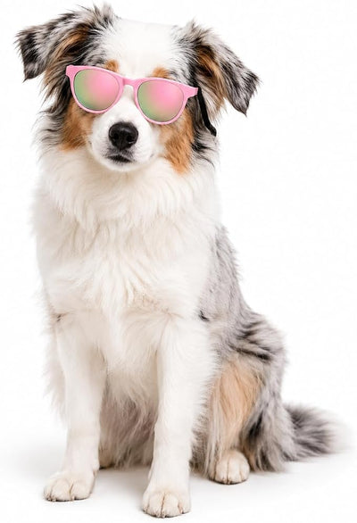G006 Dog Pet Retro 80s Costume Sunglasses for Small Breed (Panto Pink-Pink Mirror)