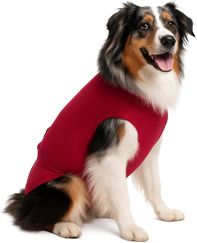 SurgiSnuggly Surgery Recovery Suit for Dogs, Female Spay or Male Neuters, A Surgical Onesie E Collar Dog Cone Alternative for After Surgery Procedures Fits Large, XL and Giant Dogs - 2XL Red EC