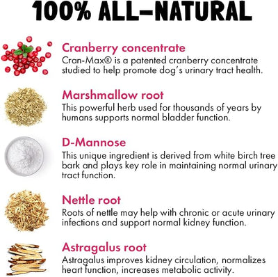 Cranberry UTI Chews for Dogs Bladder Support + D-Mannose Supports Kidney Urinary Tract and Bladder Health Natural Cranberry Wellness Supplement Immune System Booster Natural Pet Antioxidant 30 Chews