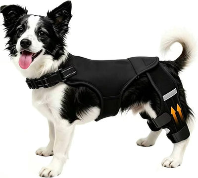 Dog Knee Braces for Torn ACL Hind Leg, Adjustable Dog Leg Braces for Back Leg with 4 Stabilizers for Luxating Patella Relieves Ligament Injury and Joint Pains