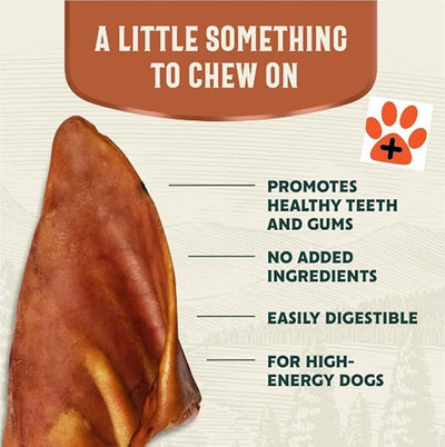 Pets Plus Pig Ear Dog Treats 2-Pack – Natural Long-Lasting Dog Chews, High Protein Single Ingredient Treats for Dental Health & Boredom Relief