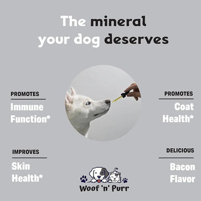 Zinc for Dogs - Dog Zinc Supplement - Helps to Support Healthy Skin, Coat, Immune Health & More - Dog Zinc - Dog Skin and Coat Supplement - Skin and Coat Supplement for Dogs - 1 fl oz - Bacon Flavor