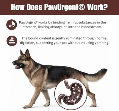 PawUrgent Activated Charcoal Gel for Dogs Poisoning,(2 Pack) 30cc Dog First Aid Activated Charcoal, Animal Use Only, Premium Pet Support for Pet Owners (2 Pack)