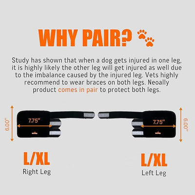 NeoAlly - 3-in-1 Dog Splint Front Leg Support, Front Leg Brace with Rigid and Spring Inserts, Dog Leg Sleeve for Pet Mobility, Stability, & Protection, With Reflective Straps, L-XL, 1 Pair