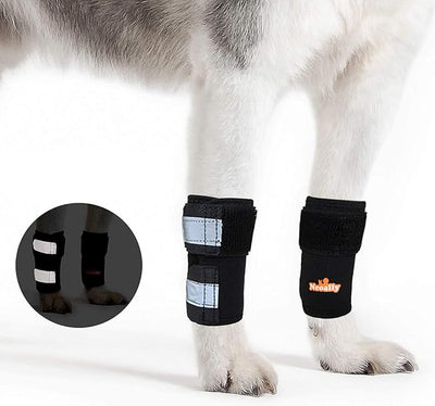 NeoAlly - Front Leg Brace for Dogs and Cats, Dog Leg Brace for Improved Pet Mobility, Dog Leg Sleeve for Carpal Support, Dog Leg Sleeve with Reflective Straps, Large to XL, Black, 1 Pair