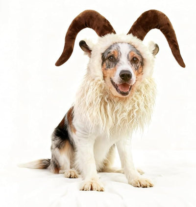 Funny Reindeer Moose Dog Costume - Cute Furry Pet Wig for Halloween & Christmas