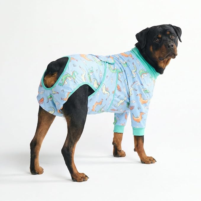Spark Paws Dog Surgery Recovery Suit – Dog Recovery Suit After Surgery, Anti-Lick Dog Onesie, Abdominal Wound Protector, Soft Cone Alternative for Spay Neuter Male Female Pet Recovery - Dragons - 5XL