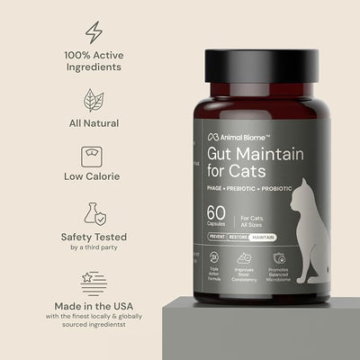 AnimalBiome NEW Probiotics for Cats with S Boulardii (60 Capsules) KittyBiome - Gut Maintain Triple-Action Phage, Prebiotics & Probiotic Cat Supplements for Digestive Health, Open for Easy Food Topper