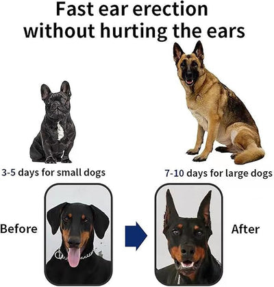 Dog Ear Stand Sticker Up Support Tool, Dog Ear Fixed Correction Vertical Holder for Doberman-Small (0.98 * 1.97)