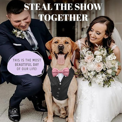 AVERYDAY Dog Tuxedo for Wedding Outfit, Dog Suit and Tie Costumes for Birthday, Halloween, Cosplay, Christmas Party, Pet Formal Wear with Bowtie, Tux for Medium Large Dogs, Bulldog, Labrador, Husky